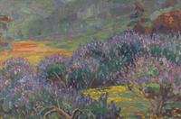 Purple and Gold Hills