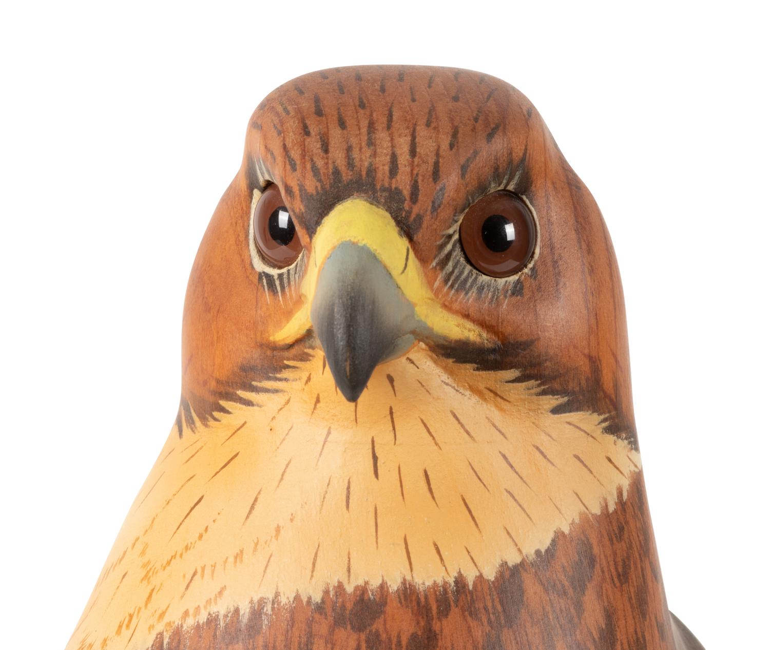 Red Tailed Hawk, Master's Edition