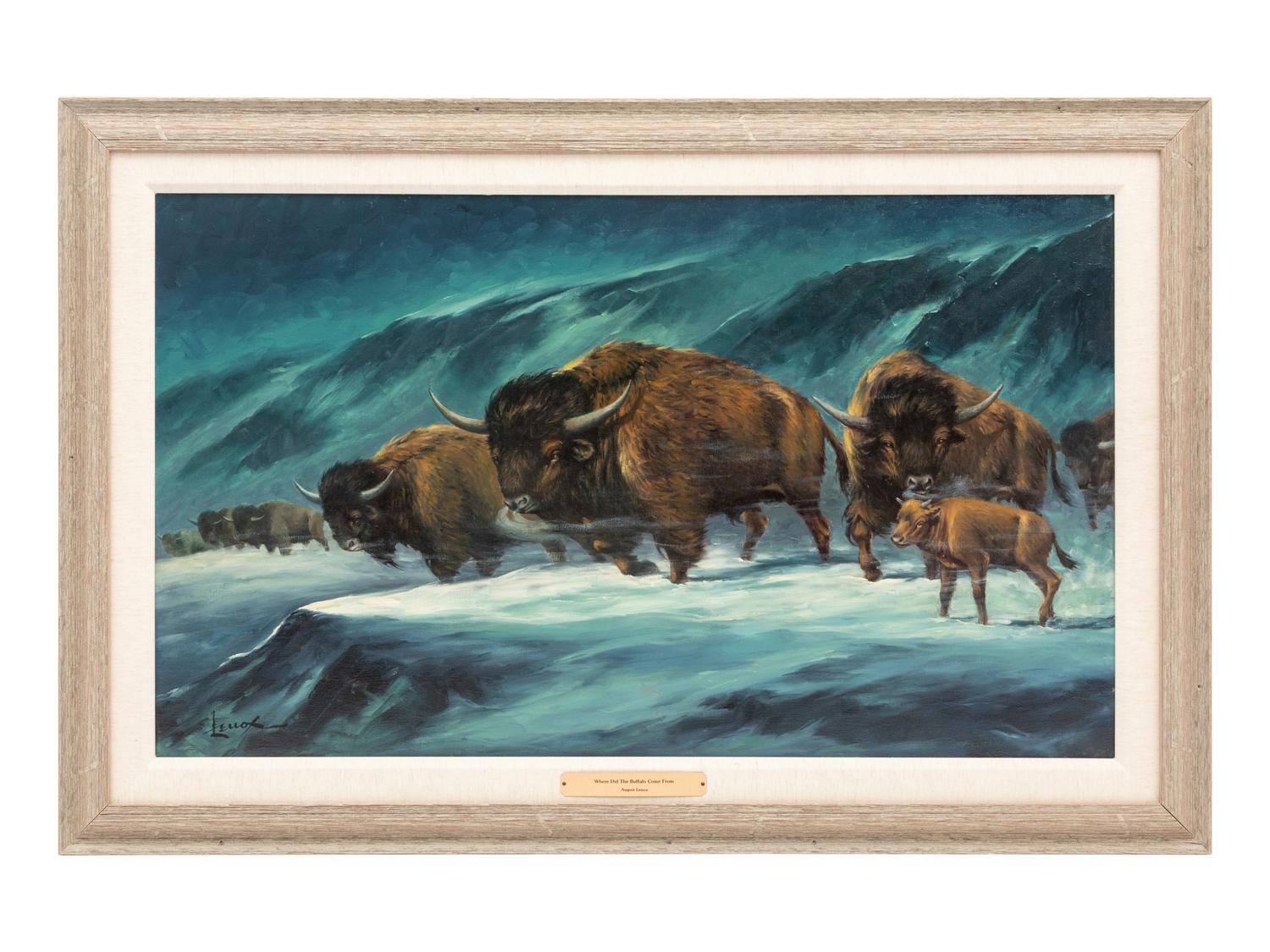 Where Did The Buffalo Come From?