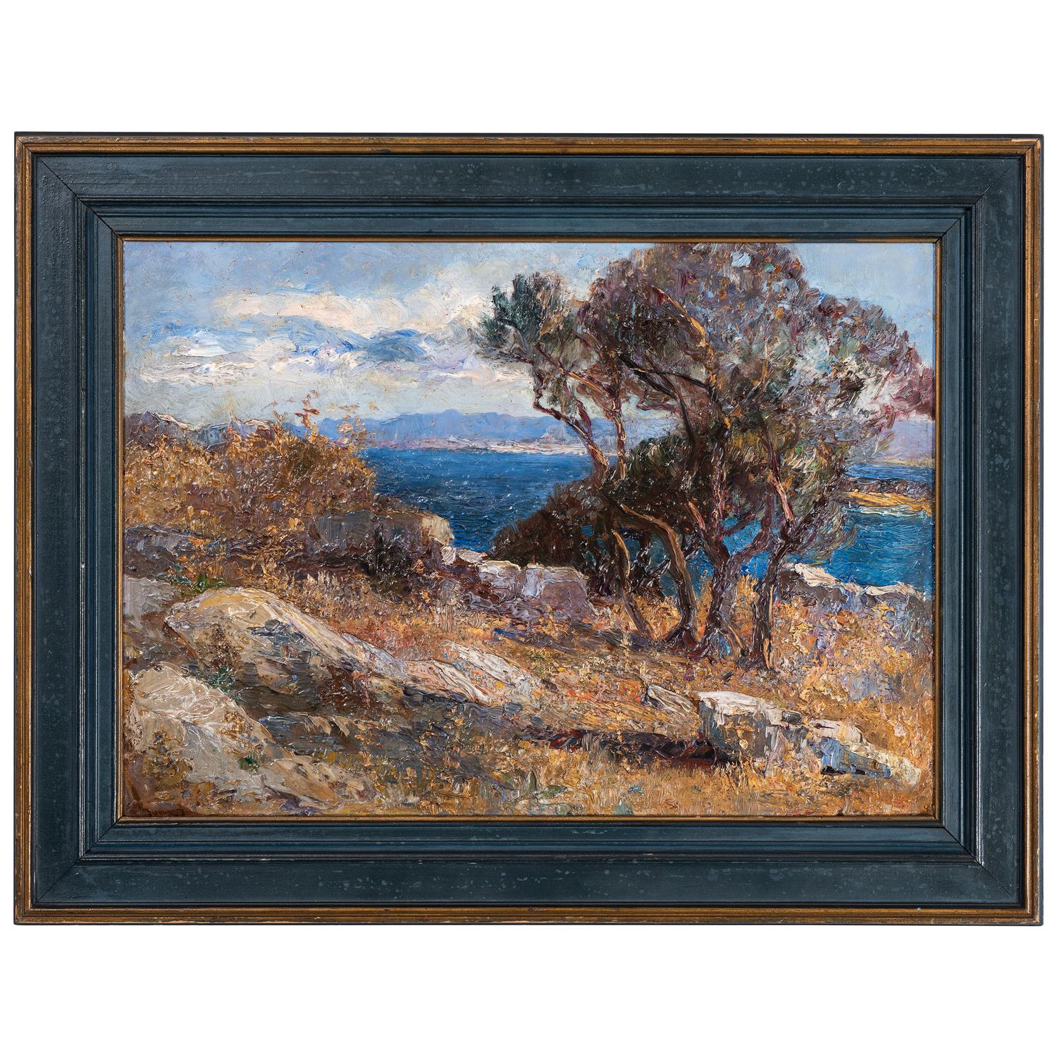 Olives in Lussingrande