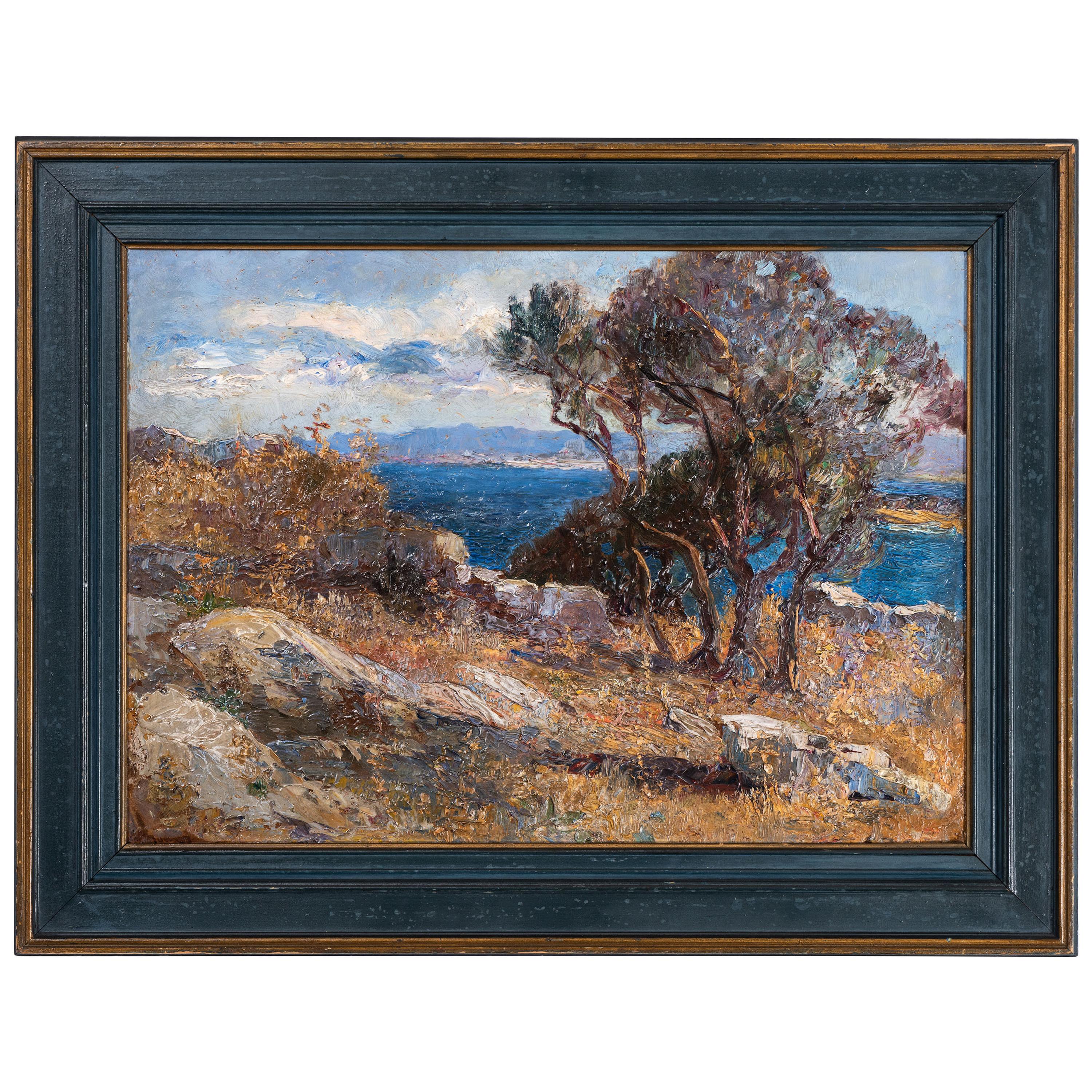 Olives in Lussingrande