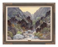 Mysterious Canyon
