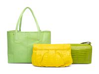 Nancy Gonzalez, Three Bags