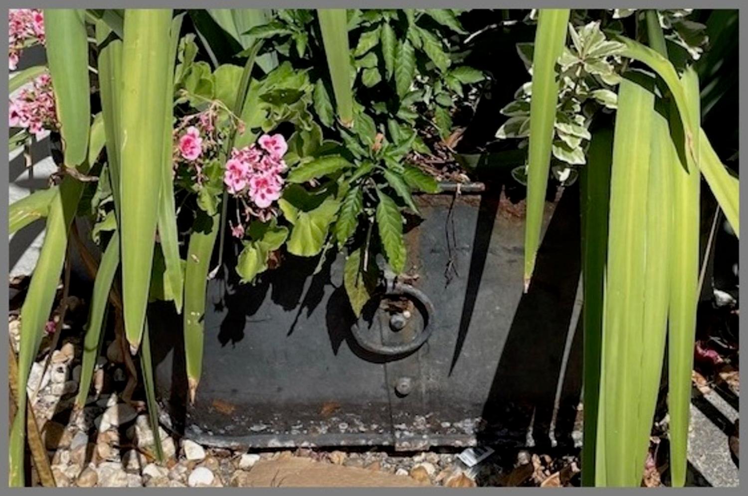 A Pair of Regency Style Oval Iron Framed and Zinc Tub-Form Planters with Ring Handles