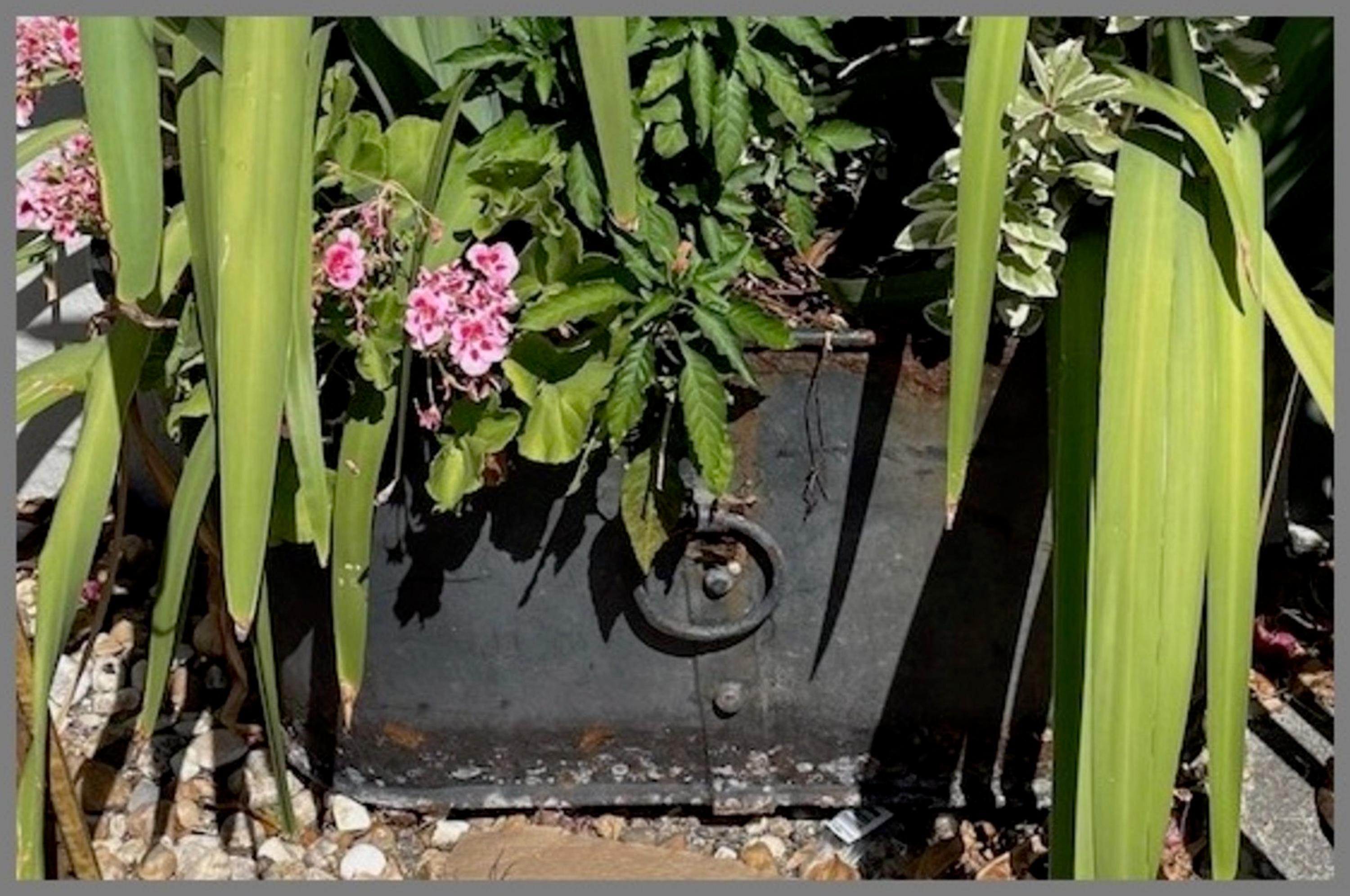 A Pair of Regency Style Oval Iron Framed and Zinc Tub-Form Planters with Ring Handles