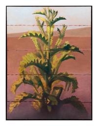 Thistle with Barbed Wire, 1989