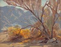Smoke Tree Design