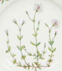 Thirteen Royal Copenhagen Flora Danica Porcelain Luncheon Plates
