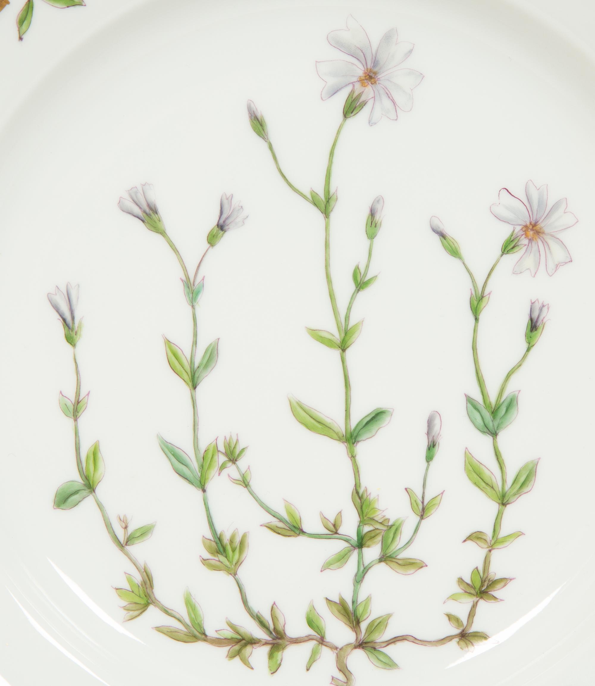 Thirteen Royal Copenhagen Flora Danica Porcelain Luncheon Plates