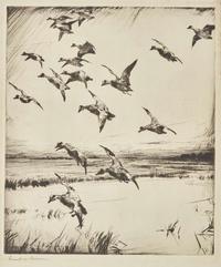 [Prints] Benson, Frank W.: Group of 4 Sporting Prints