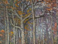 Autumn Birches