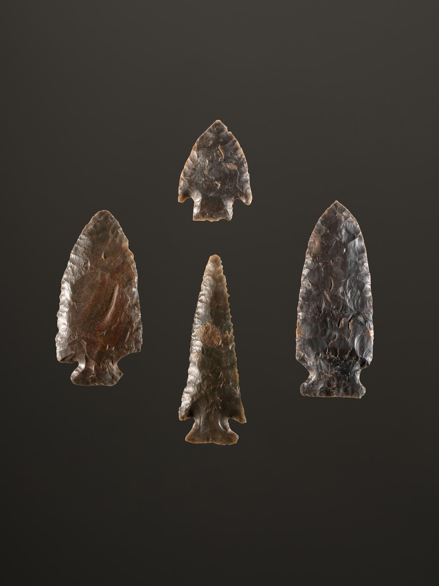 A Group of Sonora Flint Points