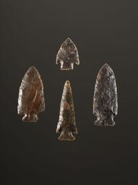 A Group of Sonora Flint Points