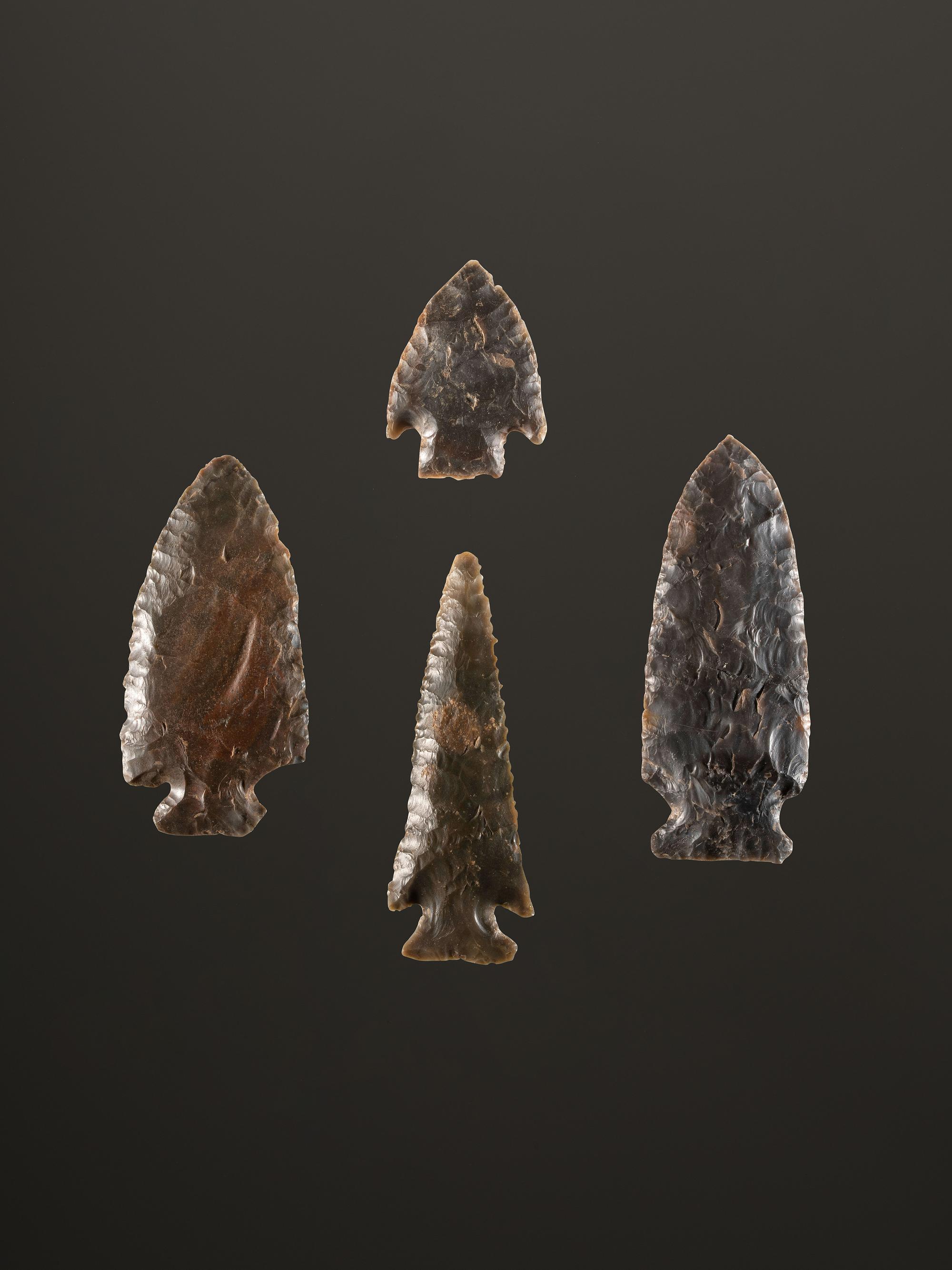 A Group of Sonora Flint Points