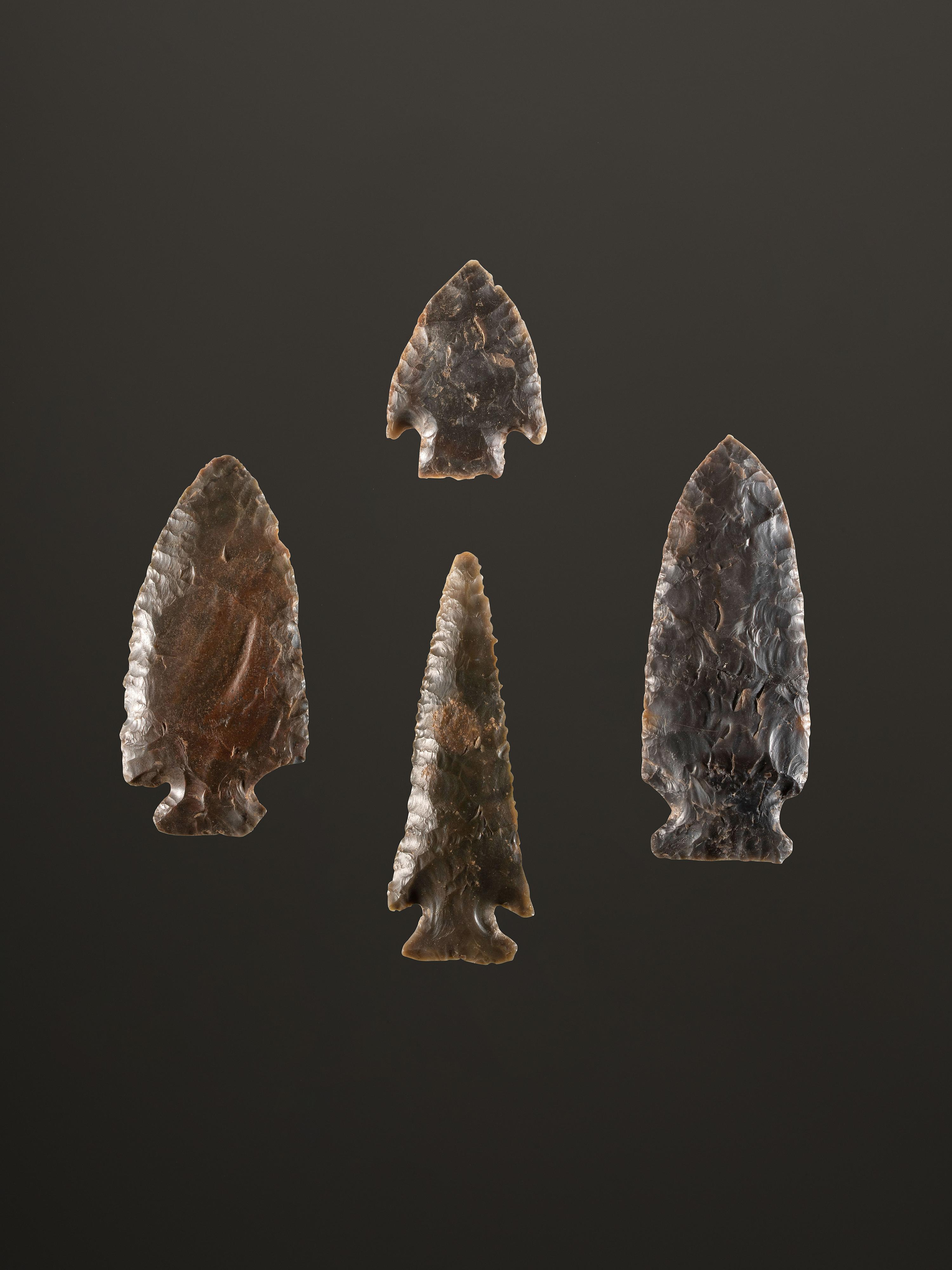 A Group of Sonora Flint Points