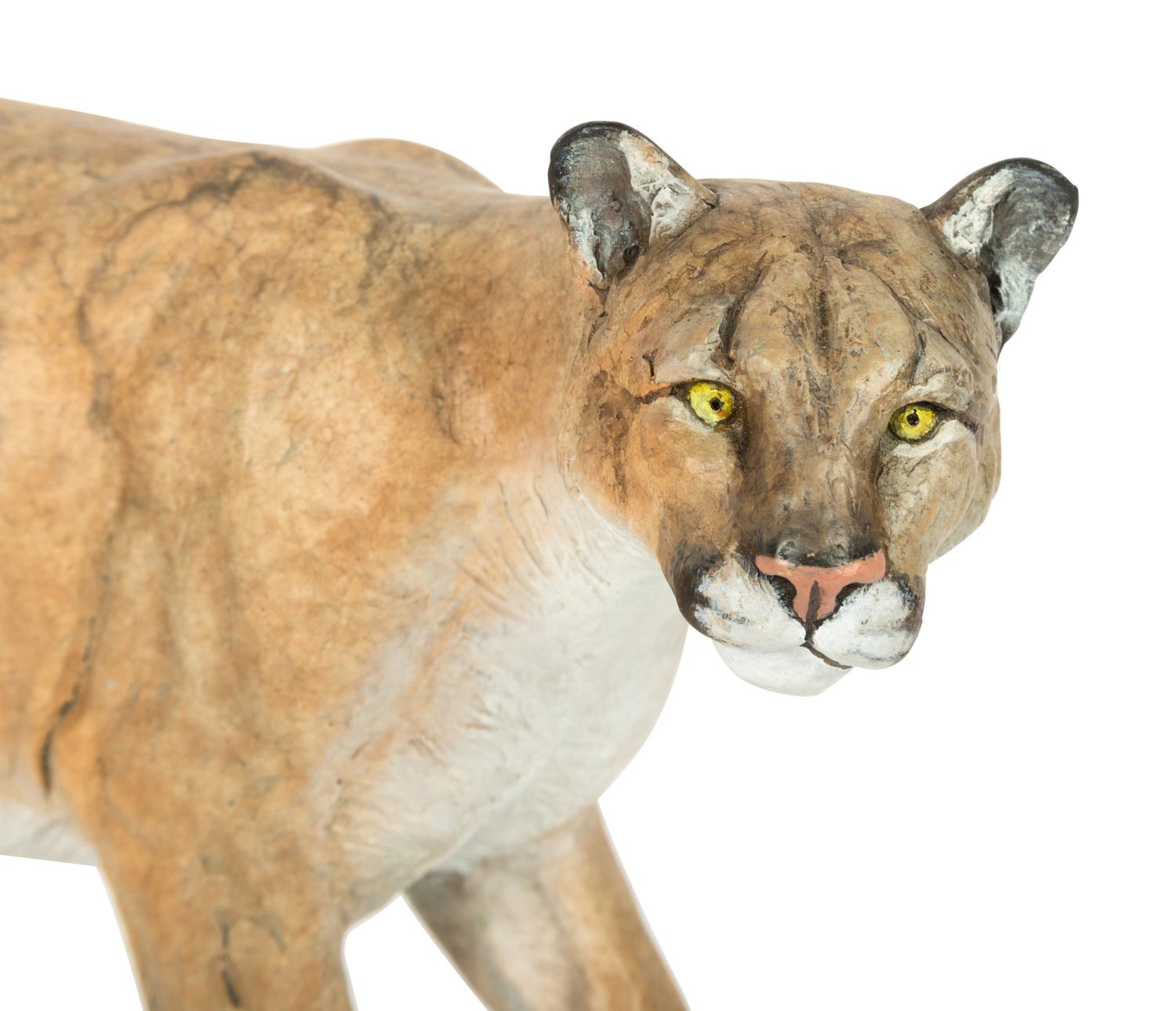 Cougar , Artist's Proof