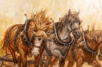 Horses