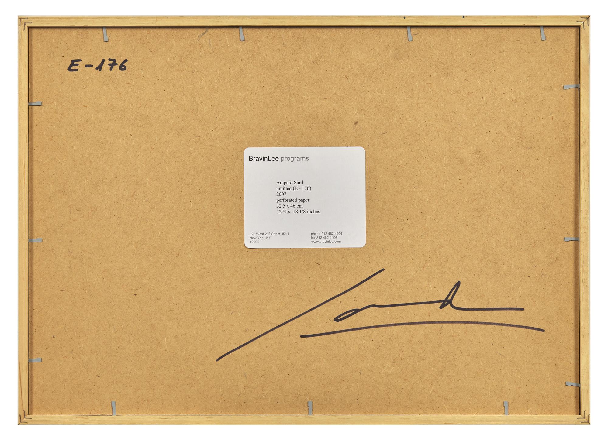 Untitled (E-176), 2007