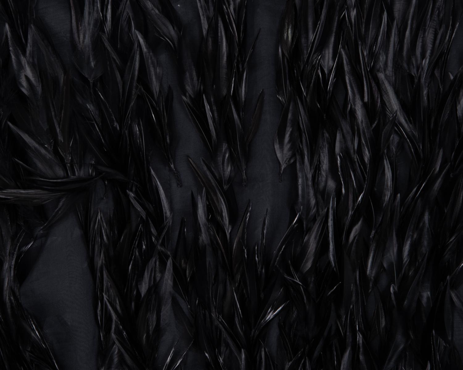 Givenchy Haute Couture Velvet Dress with Feathers, 1970-80s