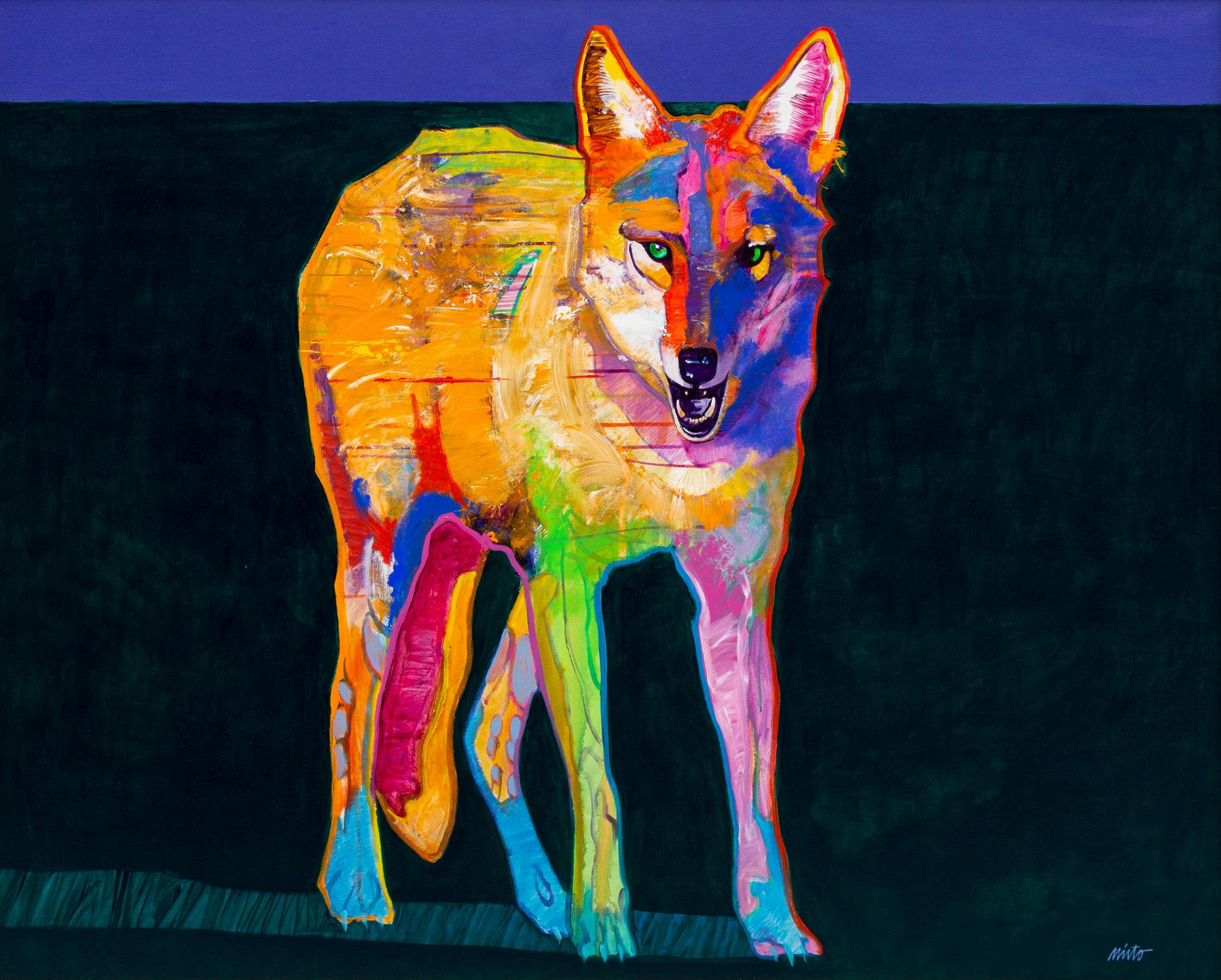 Poised Coyote