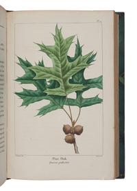 MICHAUX, François-André (1770-1855). The North American Sylva. Paris: C. d'Hautel, 1819.