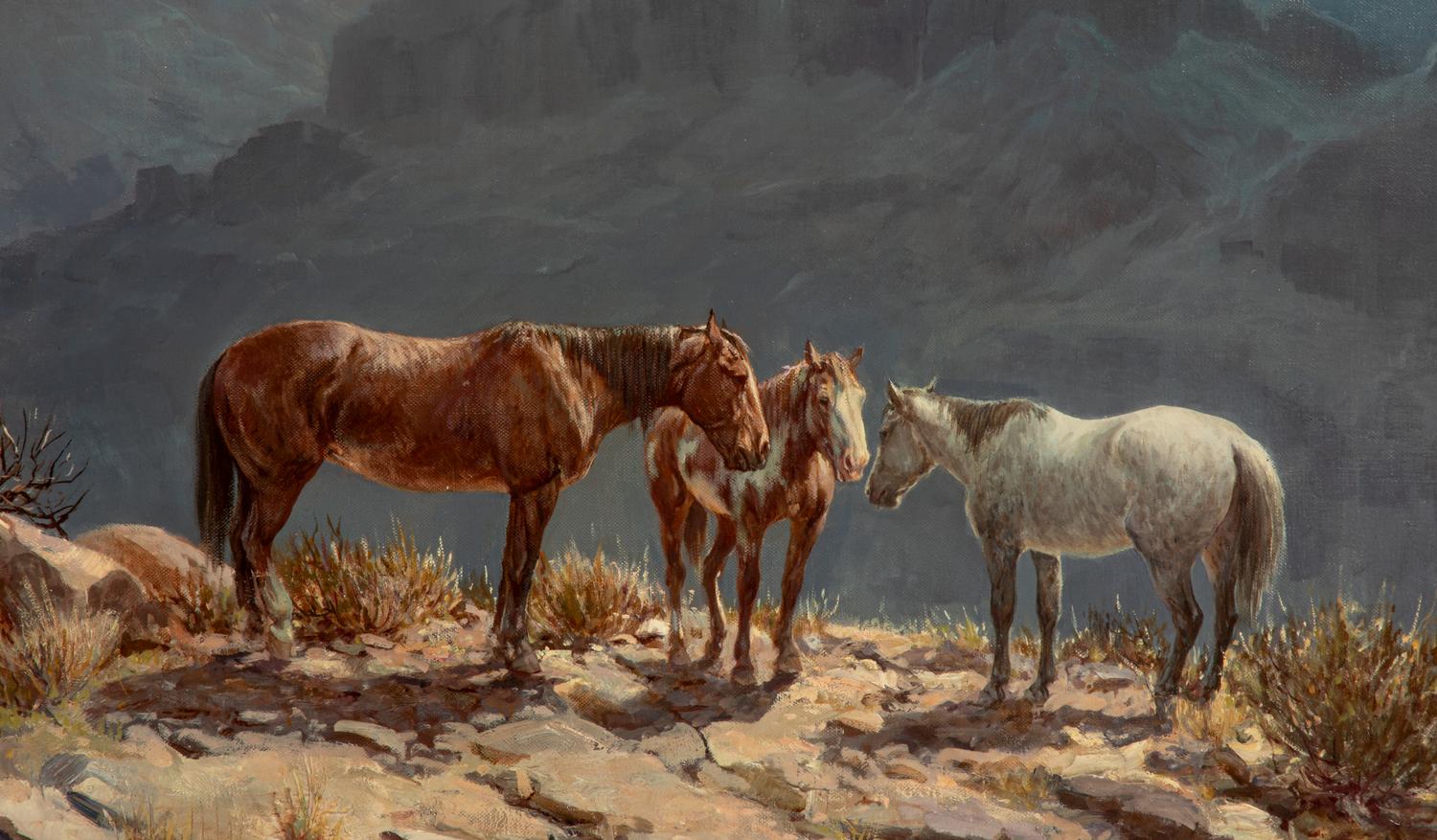 Mountain Ponies