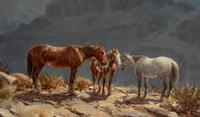 Mountain Ponies