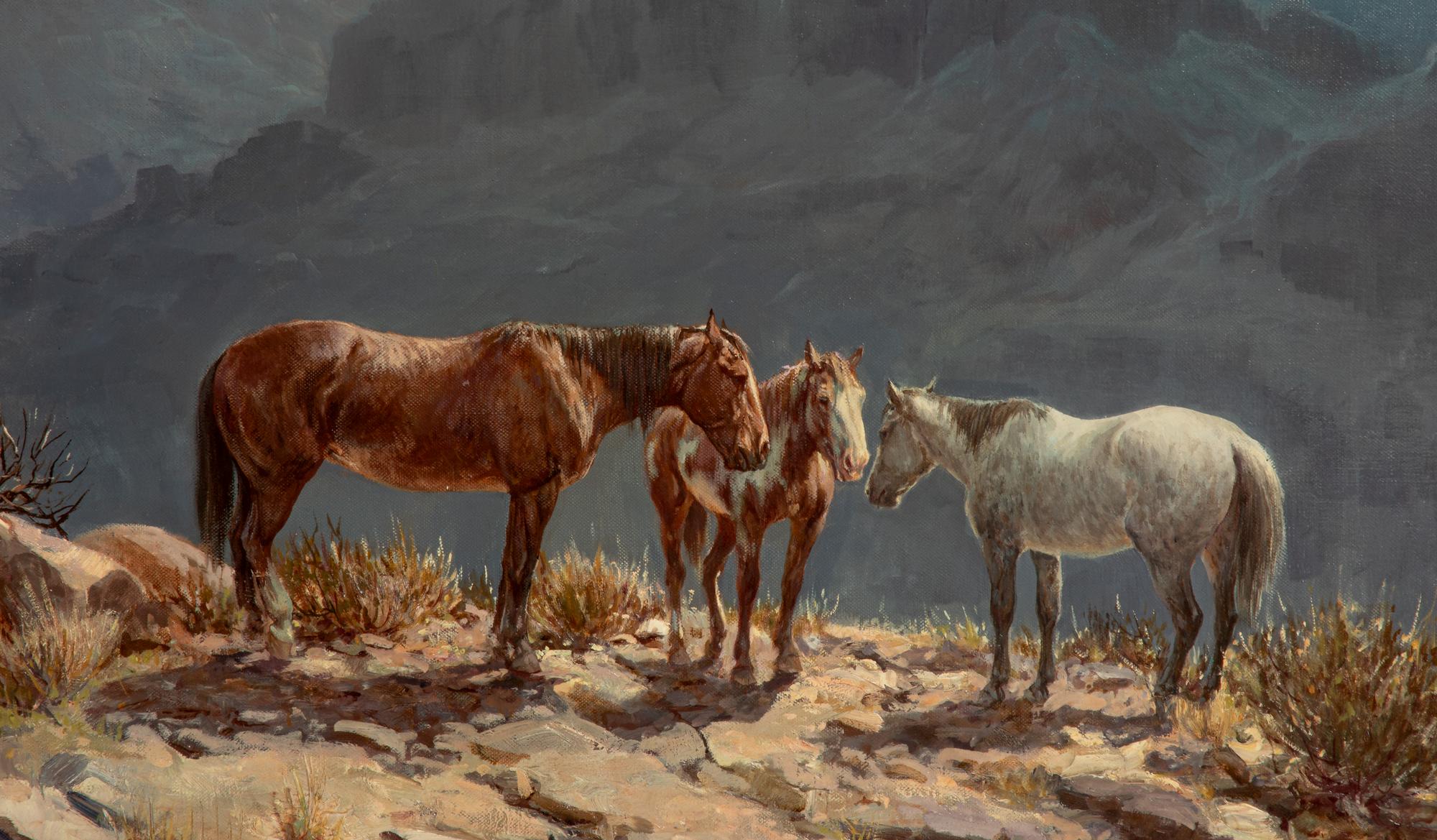 Mountain Ponies