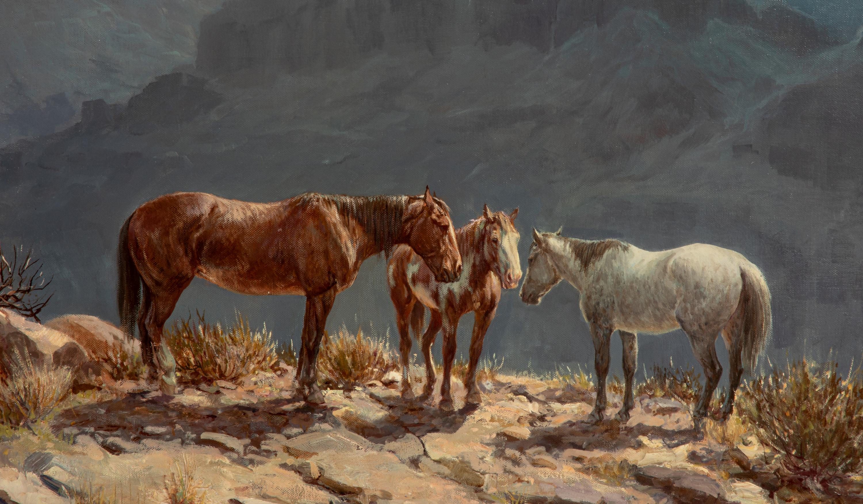 Mountain Ponies