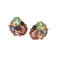 MULTIGEM AND DIAMOND EARCLIPS