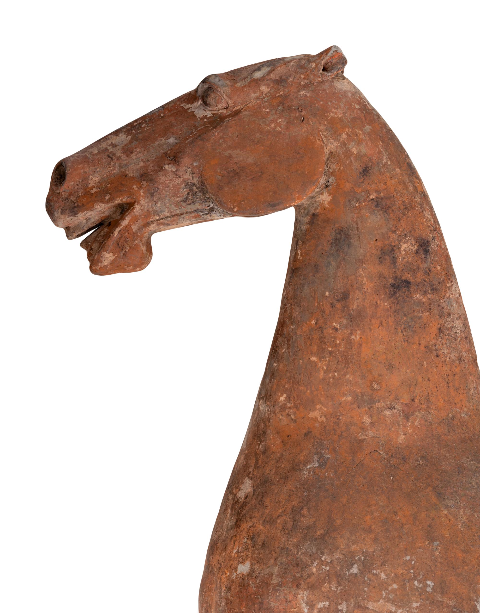 Two Chinese Terra Cotta Horses with Polychrome Remnants