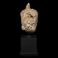 A Gandharan Stucco Head of Maitreya, Hadda Region, 4th/5th Century