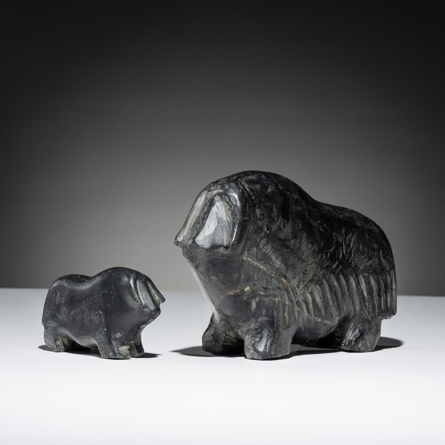 Muskox and Calf