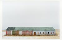 Carl Corey (born 1954) Mondovi, Wisconsin, 2021