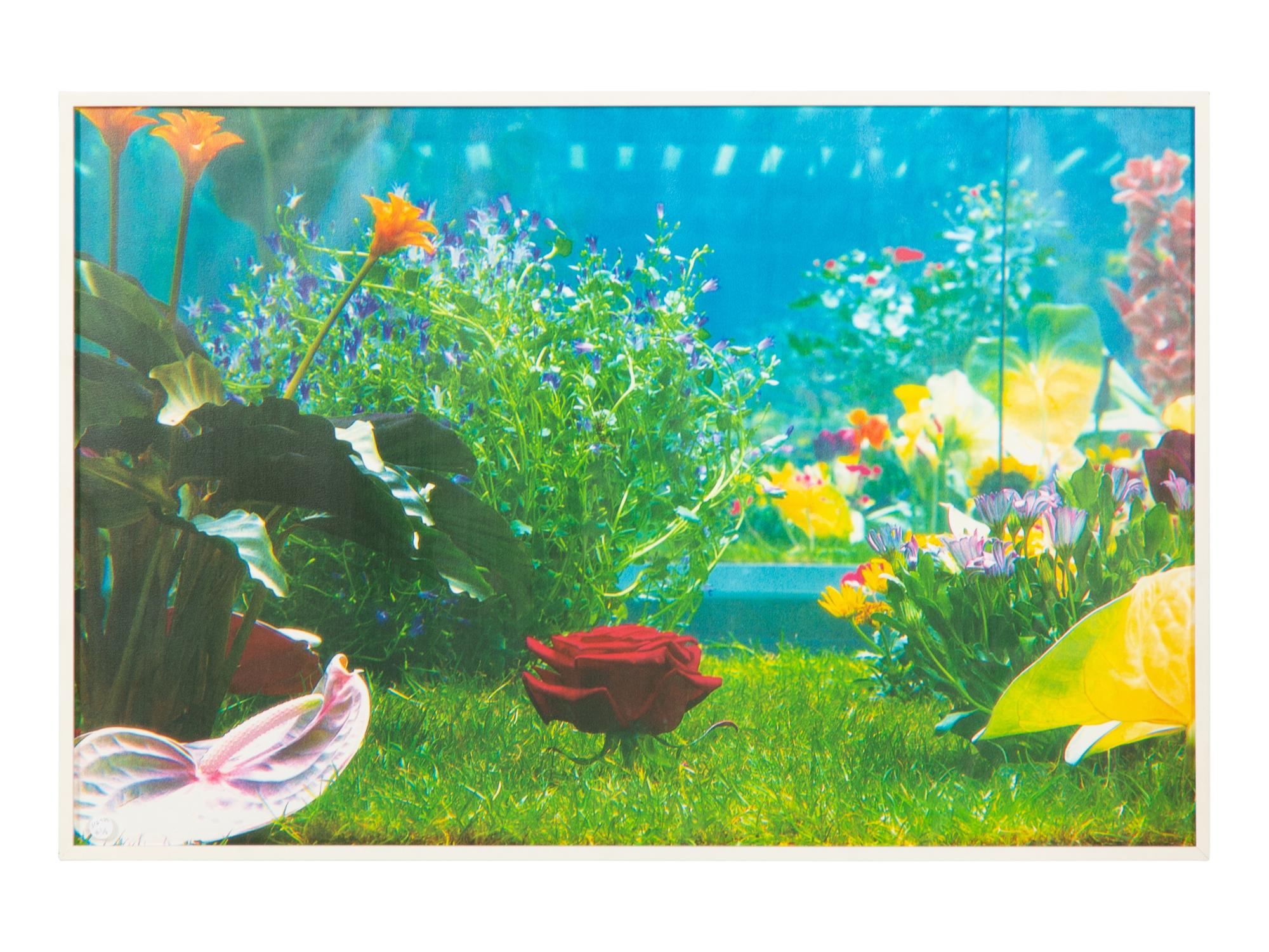 Garden² (complete portfolio of 8), 2000