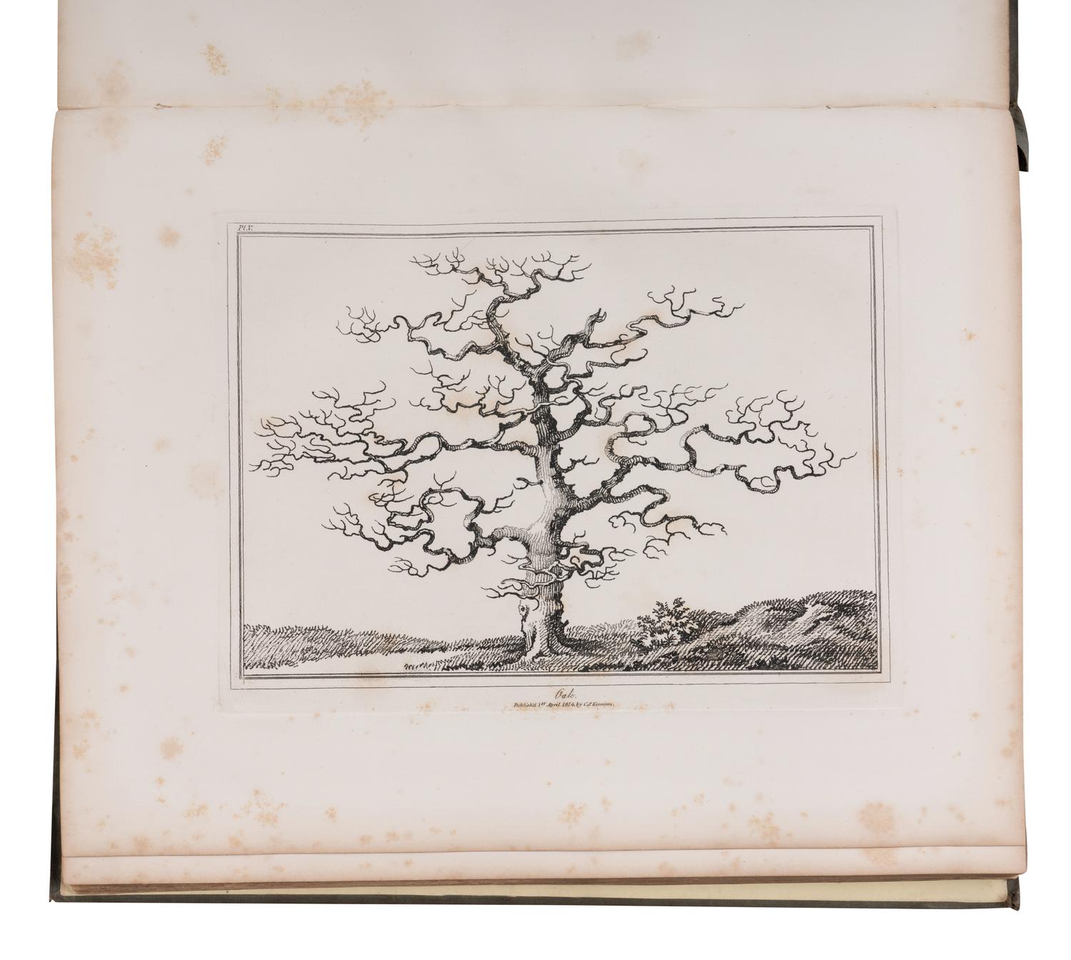 [NATURAL HISTORY]. KENNION, Edward (1744-1809). An Essay of Trees in Landscape . London: Henry G. Bohn, 1844.