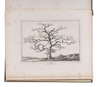 [NATURAL HISTORY]. KENNION, Edward (1744-1809). An Essay of Trees in Landscape . London: Henry G. Bohn, 1844.