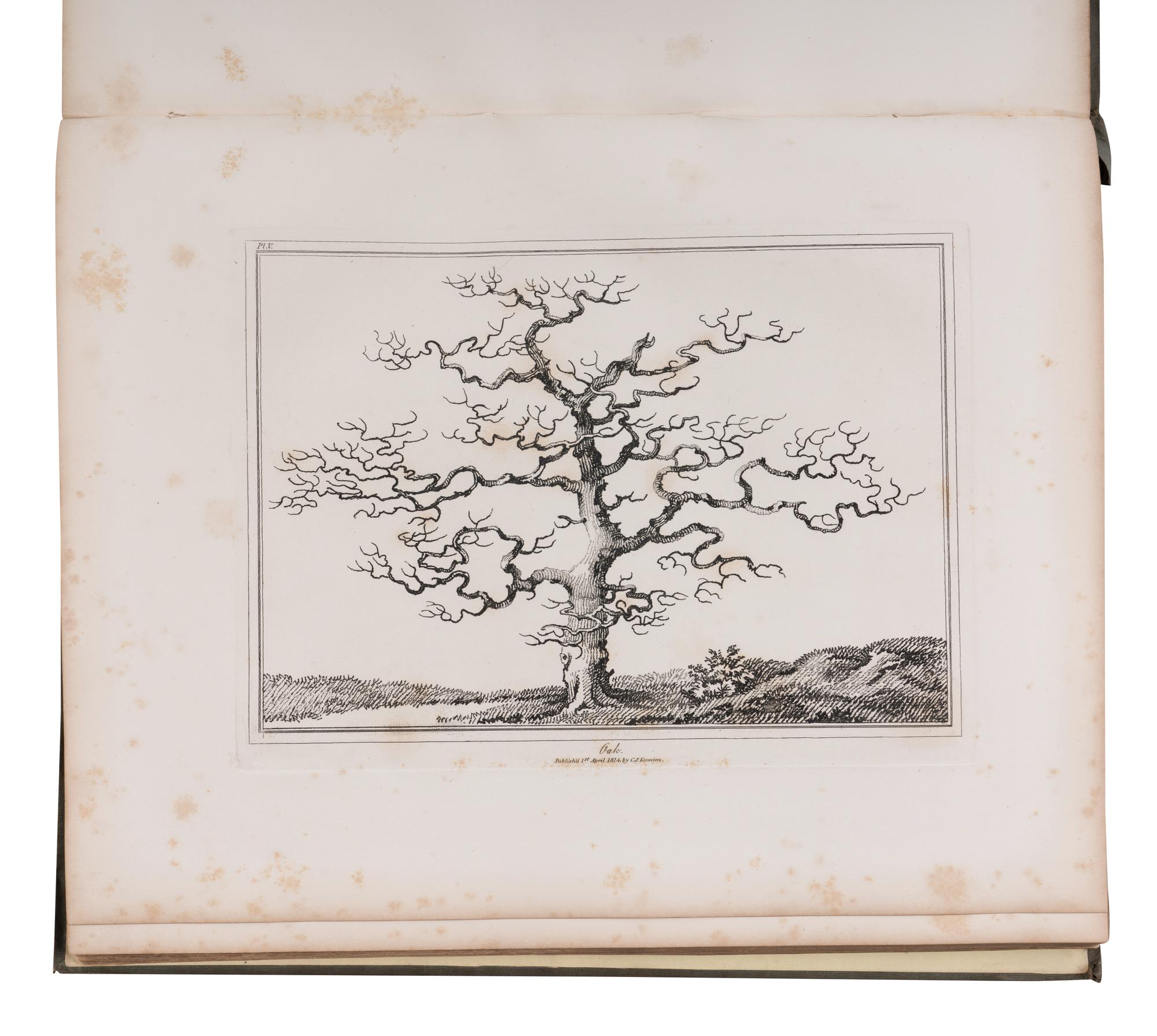 [NATURAL HISTORY]. KENNION, Edward (1744-1809). An Essay of Trees in Landscape . London: Henry G. Bohn, 1844.