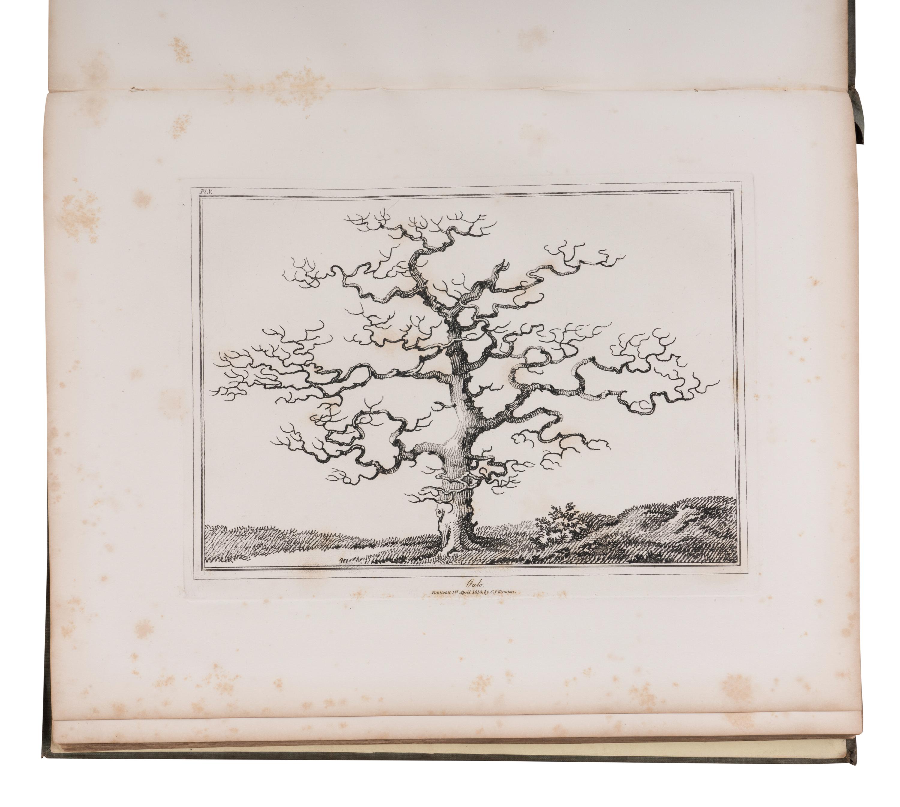 [NATURAL HISTORY]. KENNION, Edward (1744-1809). An Essay of Trees in Landscape . London: Henry G. Bohn, 1844.