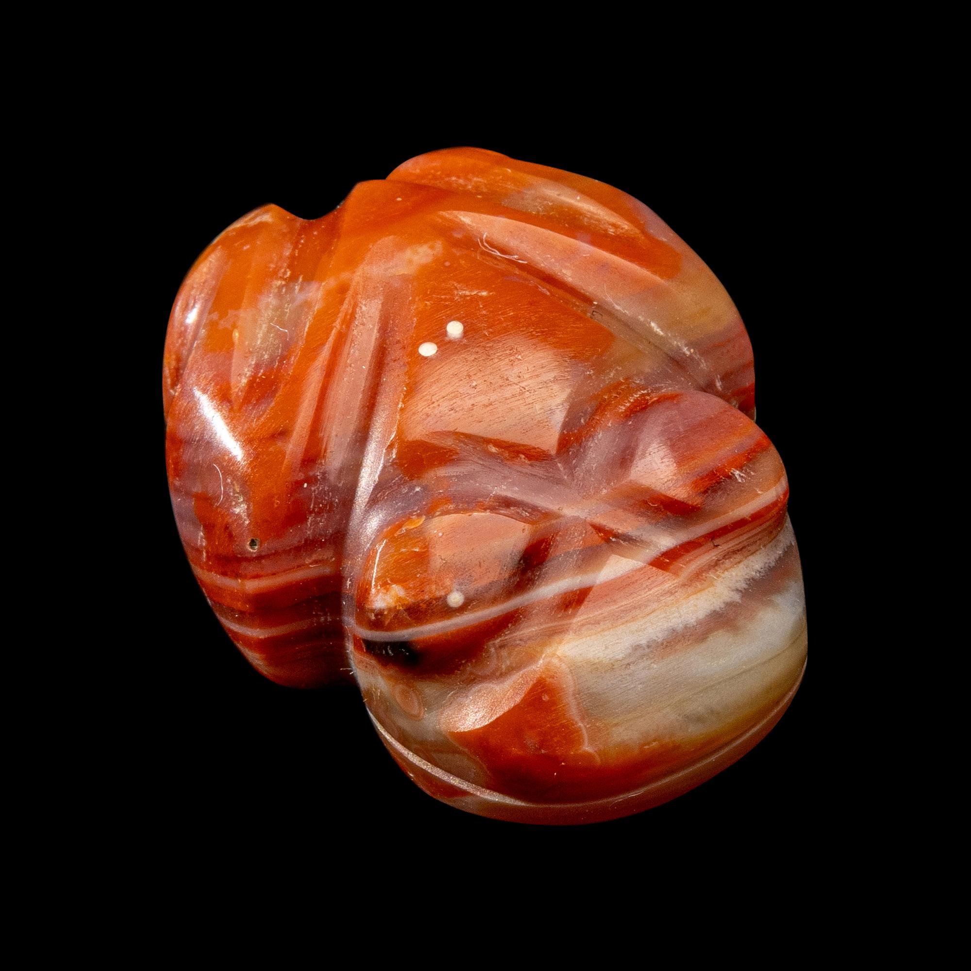A Costa Rican Carnelian Frog Pendant