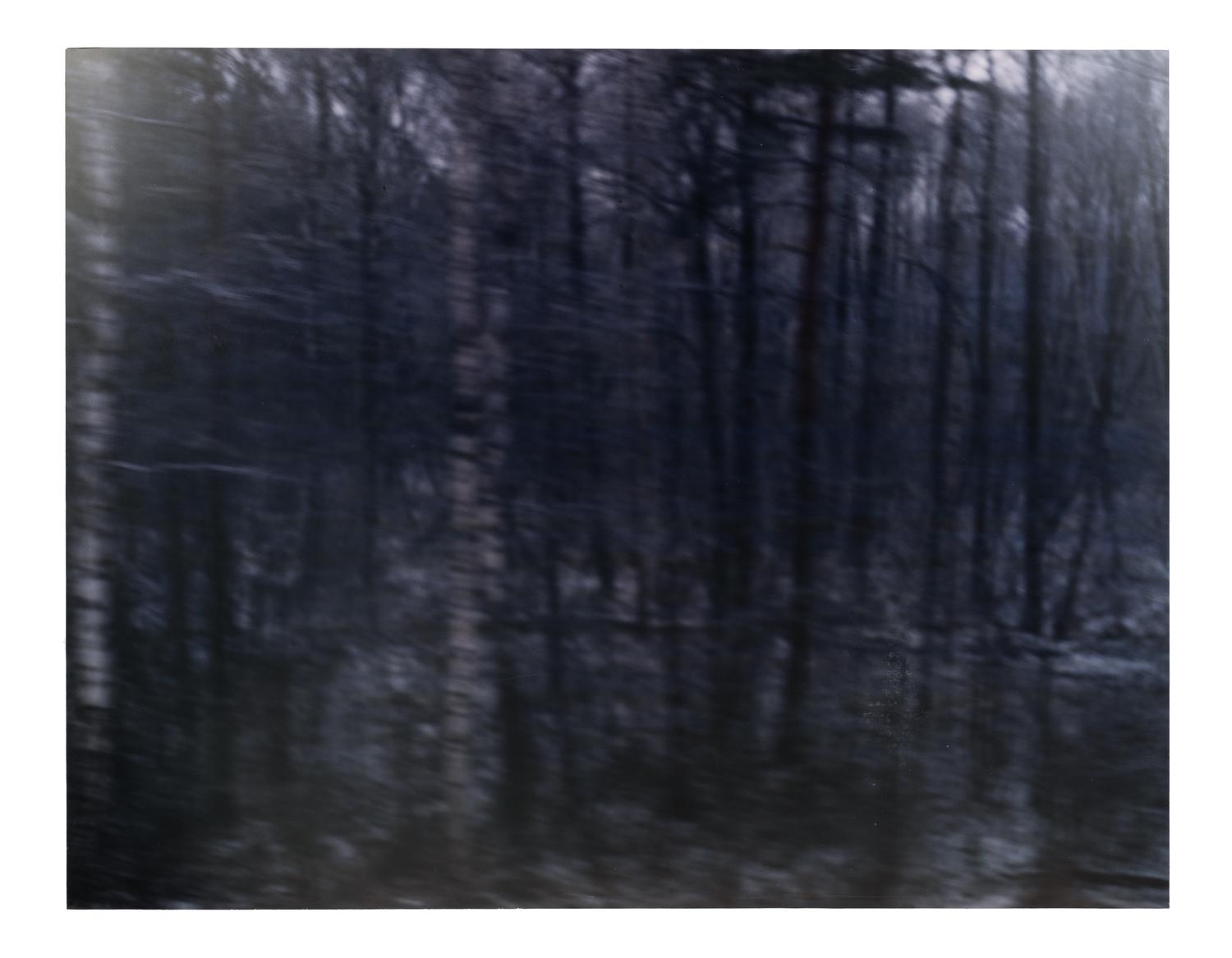 Untitled 6 (A Train Journey from Cracow to Auschwitz) , from the series White Noise , 1999-2000