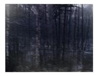 Untitled 6 (A Train Journey from Cracow to Auschwitz) , from the series White Noise , 1999-2000