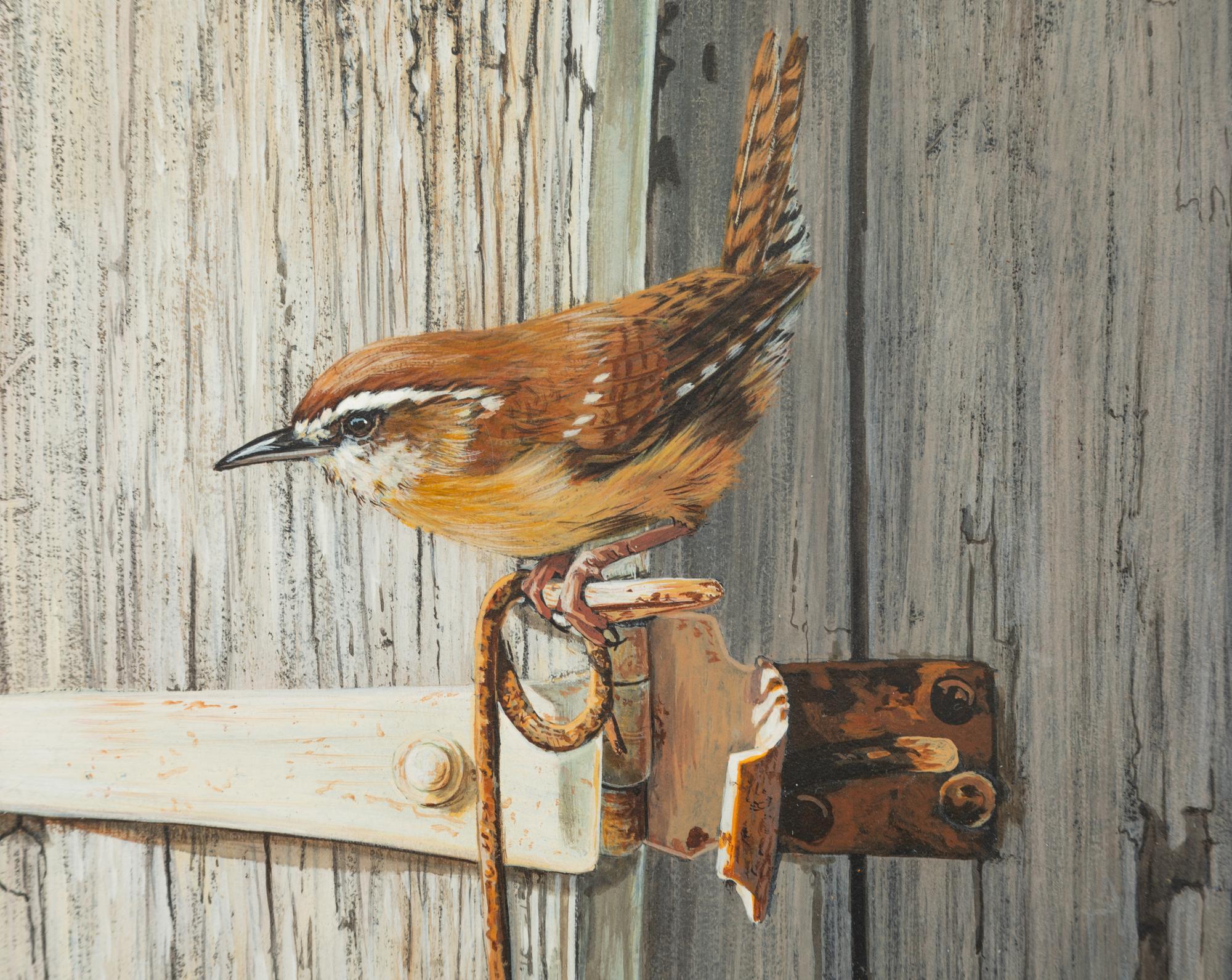 Garden Shed Wren , 2004