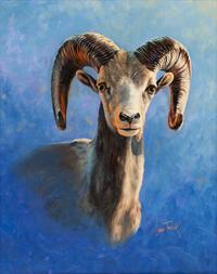 Desert Bighorn