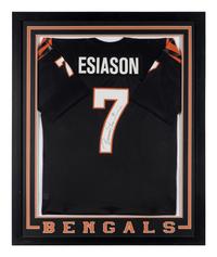 A Group of 28 Cincinnati Bengals Signed Autograph Items,