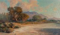 Desert Wash