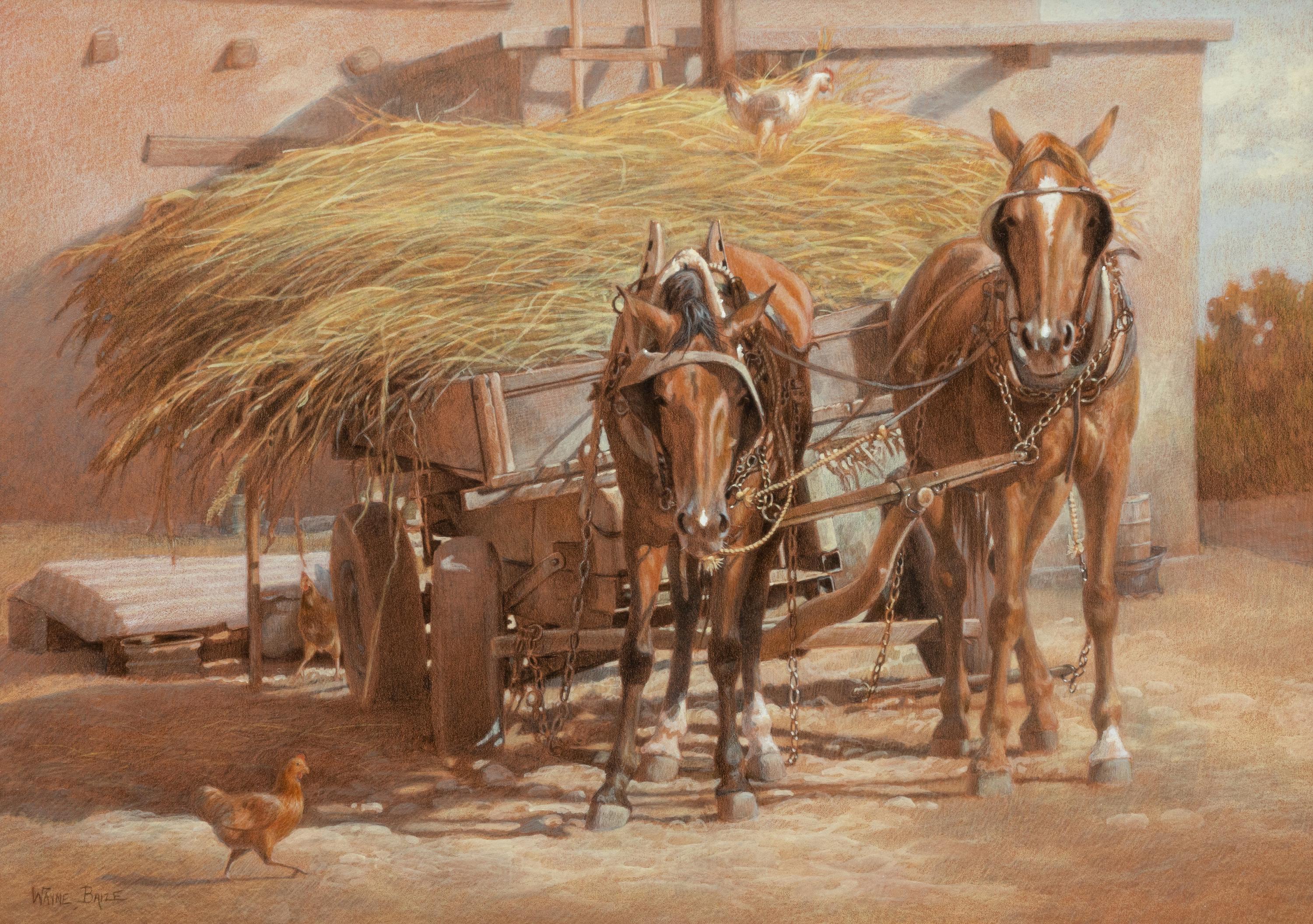 South of the Rio Grande