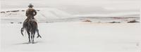 Nevada Tundra