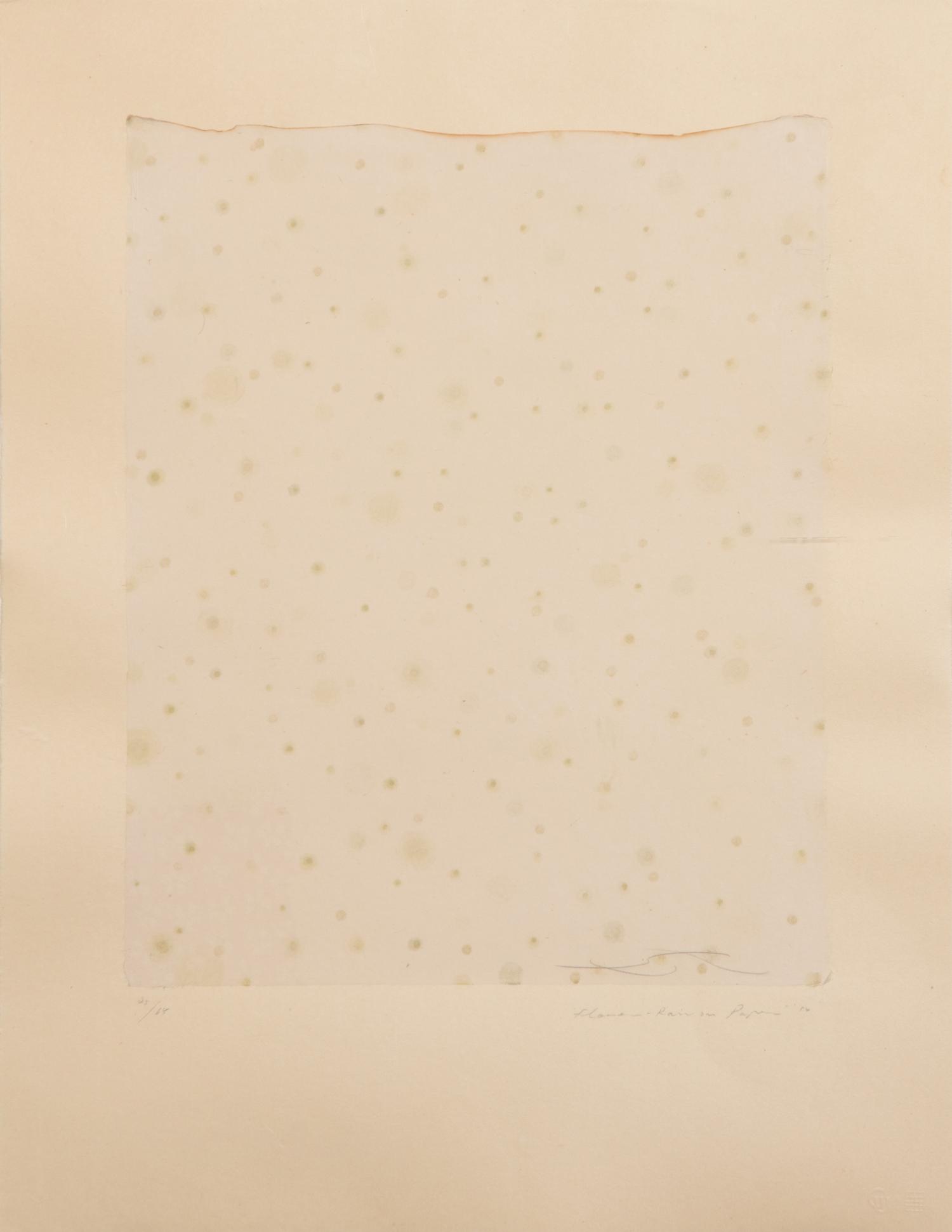 Flowers, Rain, Snow, and Wind - Rain on Paper