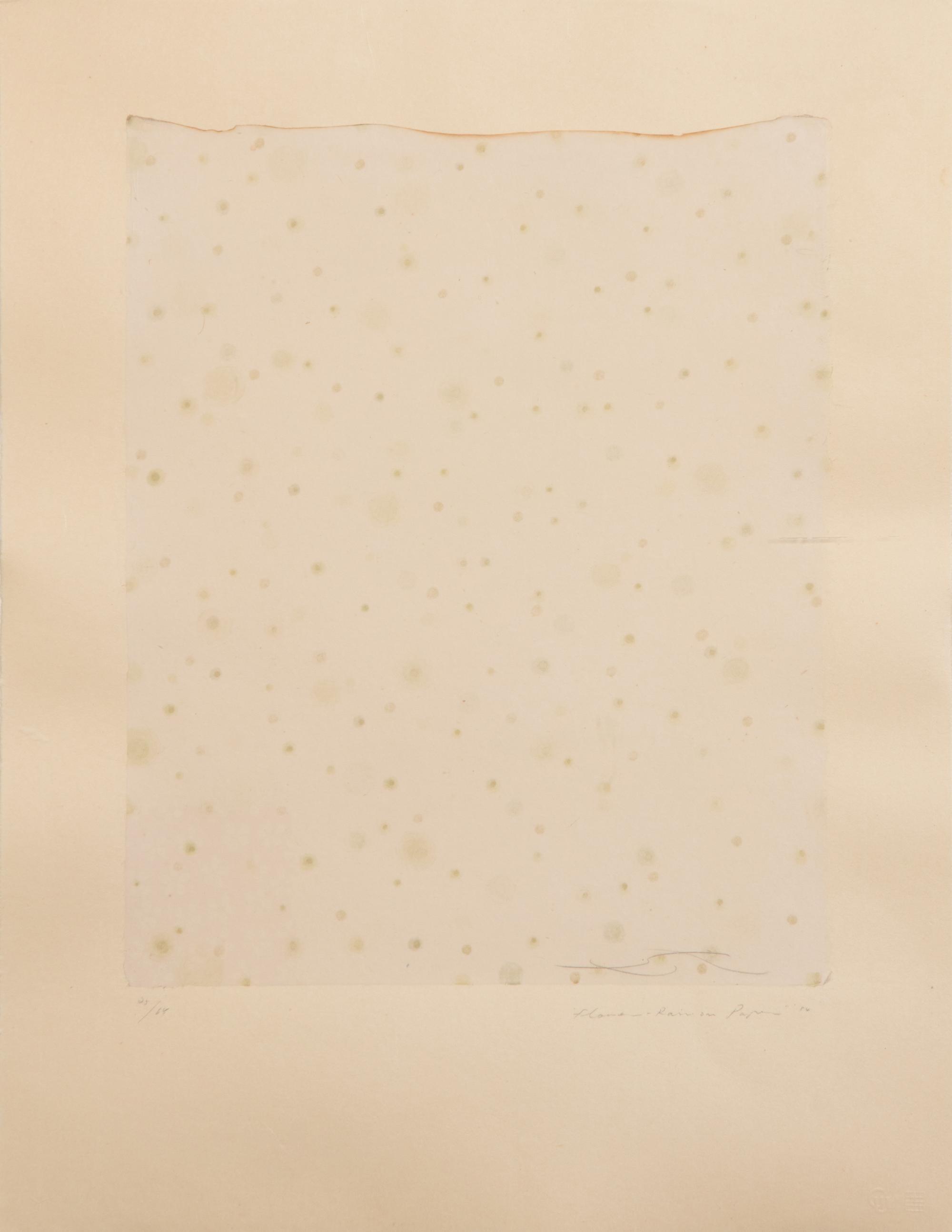 Flowers, Rain, Snow, and Wind - Rain on Paper